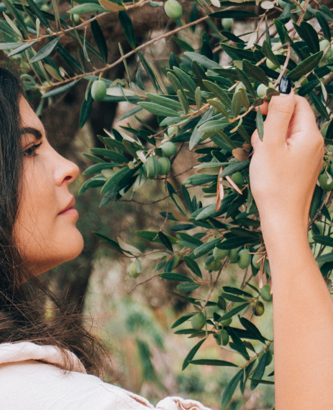 Checking health of organic olives