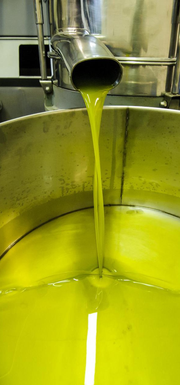 Esmea organic extra virgin olive oil being extracted into a vat